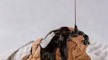 Chocolate Ice Cream Chocolate Ice Cream
