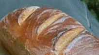 Tabitha's Homemade Wheat Bread Tabitha's Homemade Wheat Bread