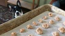 Homemade Salmon Swirl Training Treats Homemade Salmon Swirl Training Treats