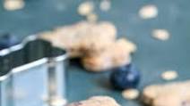 Easy Blueberry Dog Treats Easy Blueberry Dog Treats