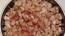 Healthy Food for Your Cat Healthy Food for Your Cat