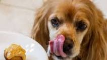 Peanut Butter Banana Pupcakes Recipe Peanut Butter Banana Pupcakes Recipe