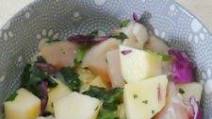 Easy Raw Food Diet Meal for Dogs Easy Raw Food Diet Meal for Dogs
