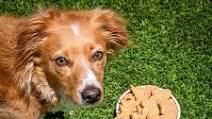 Peanut Butter Dog Treats Peanut Butter Dog Treats