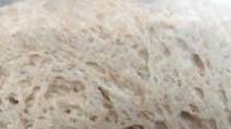 Sprouted Ancient Grain sourdough Sprouted Ancient Grain sourdough