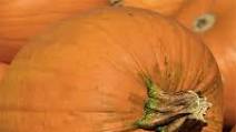Simple Pumpkin Ice Cream for Dogs Simple Pumpkin Ice Cream for Dogs