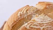 Pan Basico: Traditional Spanish Bread Pan Basico: Traditional Spanish Bread