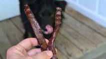 Liver Jerky Dog Treats Liver Jerky Dog Treats