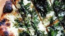 Homemade Pizza Dough Recipe (Tons of Tips!) Homemade Pizza Dough Recipe (Tons of Tips!)