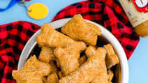 Pumpkin Dog Treats Pumpkin Dog Treats