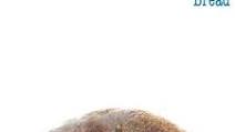 No-Knead Sesame Seed Bread No-Knead Sesame Seed Bread