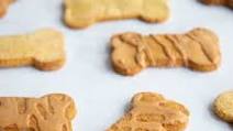Grain-Free Pumpkin Coconut Dog Treats Grain-Free Pumpkin Coconut Dog Treats