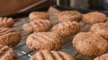 Peanut Butter Oat Dog Treats Peanut Butter Oat Dog Treats
